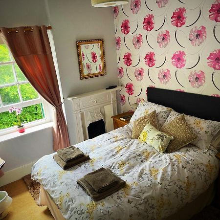 The Dartmoor Bnb Yelverton Exteriör bild